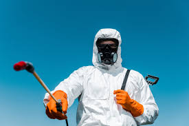 Outdoor Pest Control in Wrightsville, GA